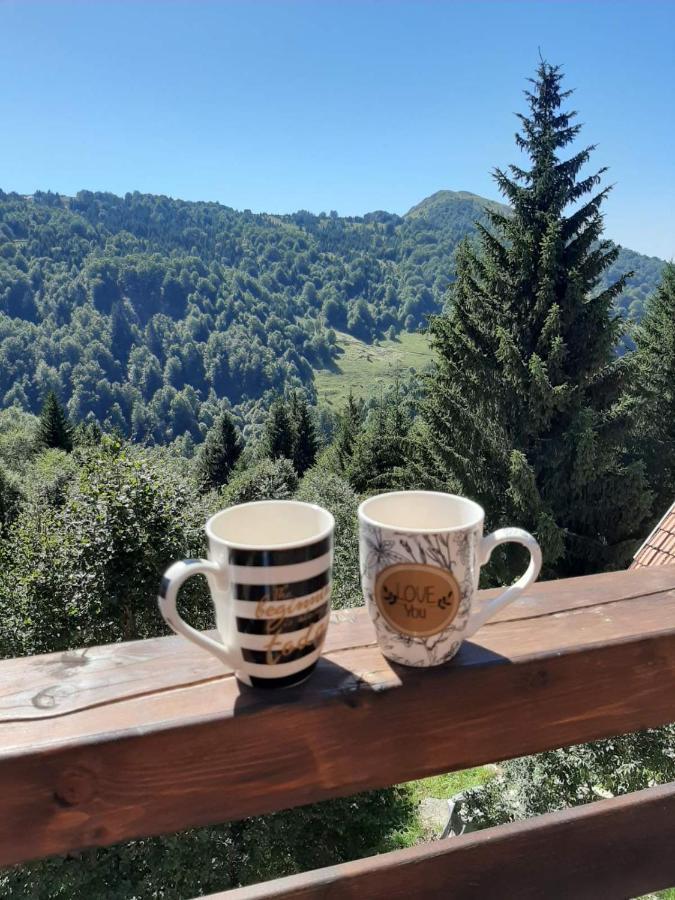 Casa Nostra Kop Villa Kopaonik Dış mekan fotoğraf